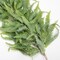 5 ft Greenery Garland – Boston Fern Floral Garland for Door, Mantle & Home Décor, Realistic Lush Artificial Garland for Spring & Summer Farmhouse Style